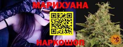 сатива Тула